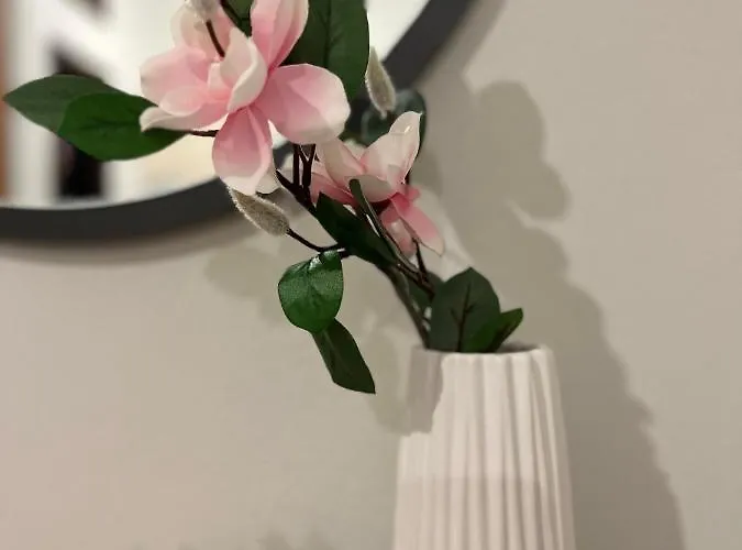 Apartman Alkinoos Petrití