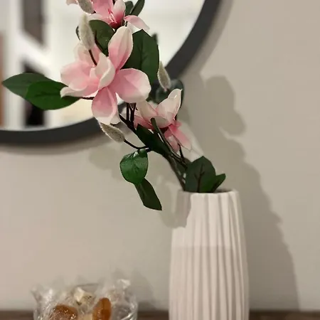 Apartman Alkinoos Petrití